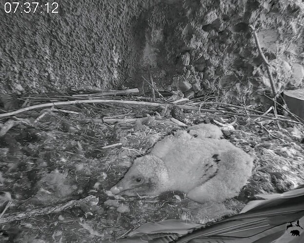 Screenshot_2025-04-06-07-38-27-653_com.android.chrome