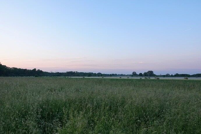 DSC07661