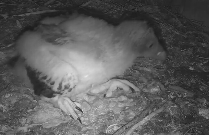 Schlafposition 14.04.24