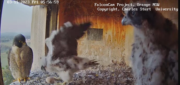Screenshot_20231102_200407_YouTube