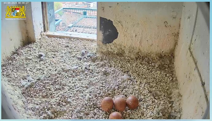 Bildschirmfoto 2024-04-03 um 09.00.50