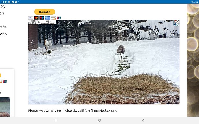 Screenshot_20231203-130536_Chrome