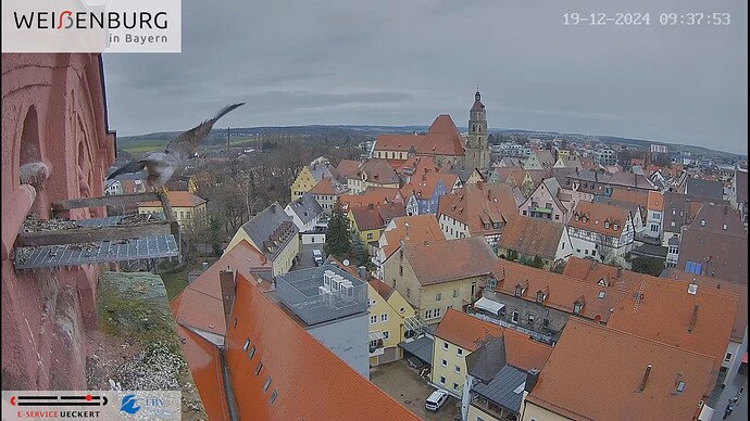 Screenshot (7648)