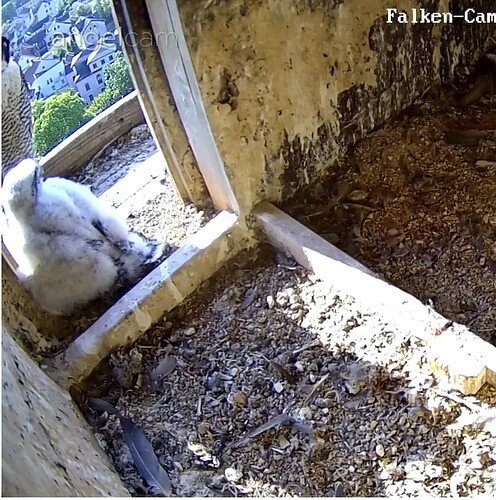 Screenshot_20230515-075805~2