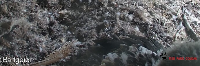 Screenshot_20240505-184614~2