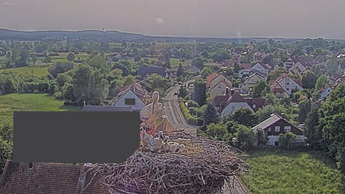 Screenshot (15251)