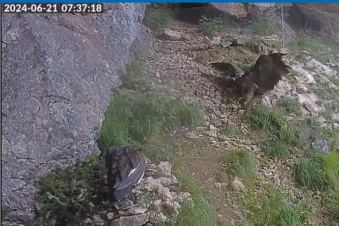 Vinz auf dem Weg 21.06.24