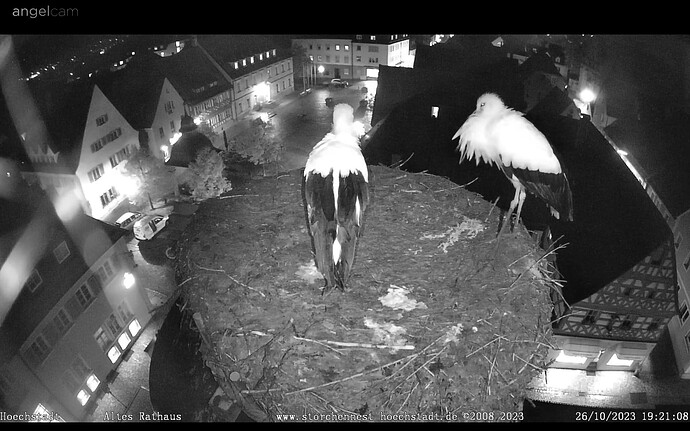 Screenshot_20231026-192136_Chrome