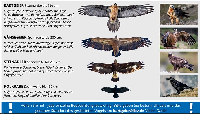 Bildschirmfoto vom 2023-06-24 11-12-34