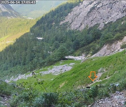 Snap_2025.06.14_17h06m07s_006_