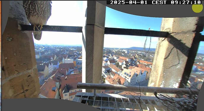 Screenshot (2756)