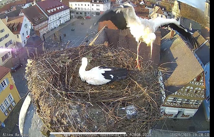 Bild