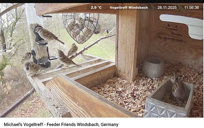 Screenshot_20251128-115659~2