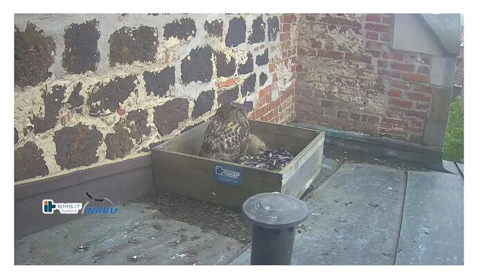 Screenshot_20230512_070828_Samsung Internet