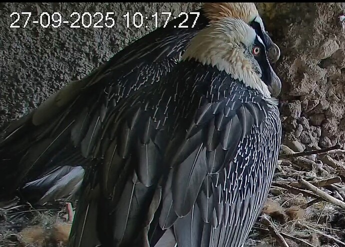 Screenshot_2025-09-27-10-18-31-217_com.android.chrome~2