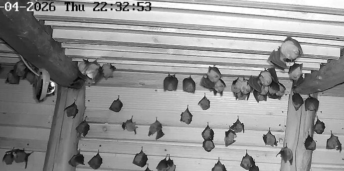 2026-04-16_1 Besuch von Breiti 3