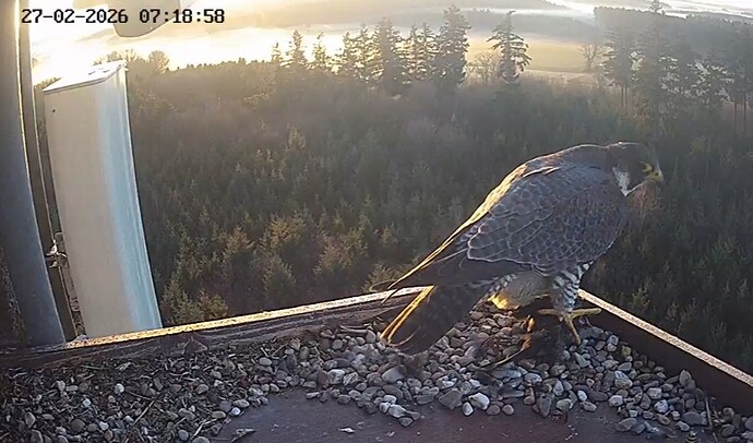 Screenshot_20260227_071829_Chrome