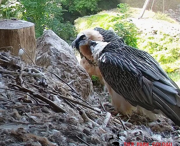Liebesgeflüster 09.08.25