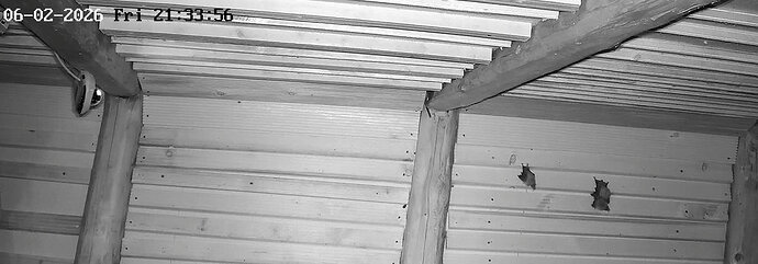 2026-02-6_2 ab 21.00 Wärmeglocke