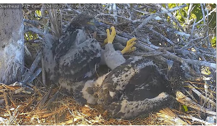 Screenshot 2024-01-27 201927