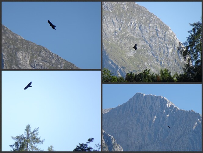 Collage_2023-09-08_20_13_42