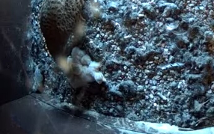 Screenshot_20240509-105808_YouTube