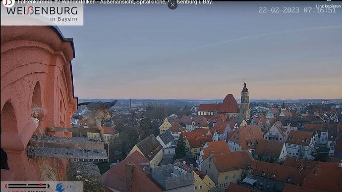 Snap_2023.02.22_07h19m03s_007_