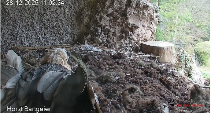 Screenshot_20251228-110353~2