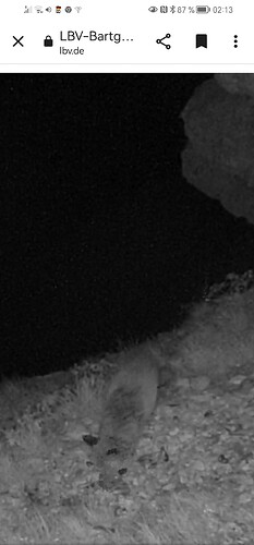 Screenshot_20230603_021333_com.android.chrome