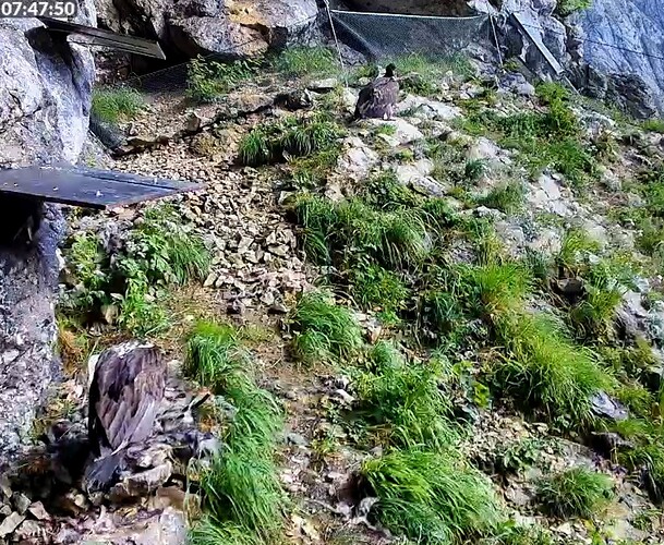 Screenshot_2025-06-17-07-47-52-334_com.android.chrome