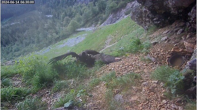 Bildschirmfoto vom 2024-06-14 06-30-22