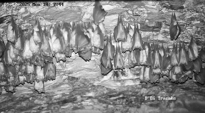 2025-12-01 Vollbildaufzeichnung 185754