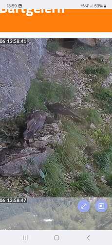 IMG-20240706-WA0008