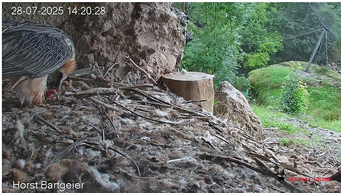 Screenshot_20250728-142131~2