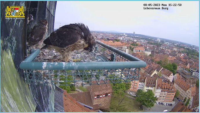 Snap_2023.05.08_15h23m21s_011_