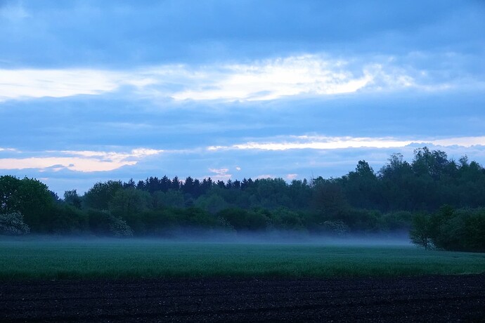 DSC02630_1