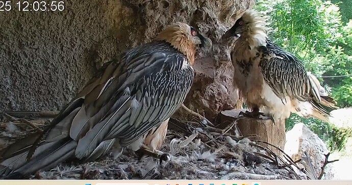 Mascha u. Hans 1 26.06.25