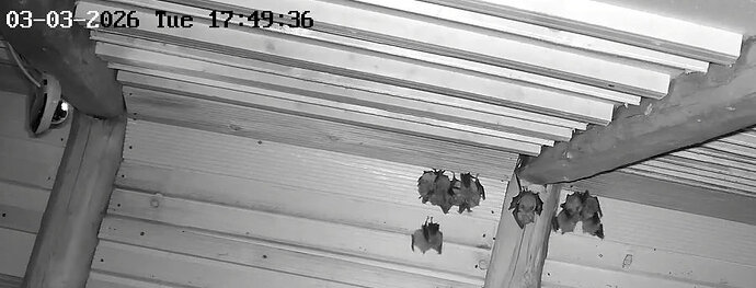 2026-03-03_1 ab 17.00 WG Cluster 1