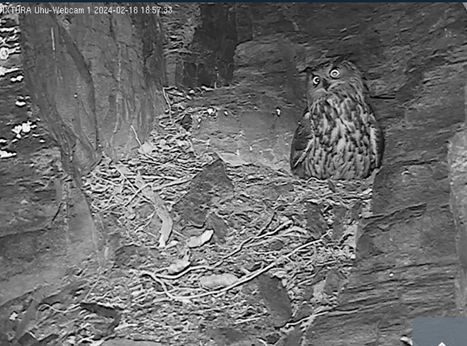 Screenshot_20240218_190028_Chrome~2