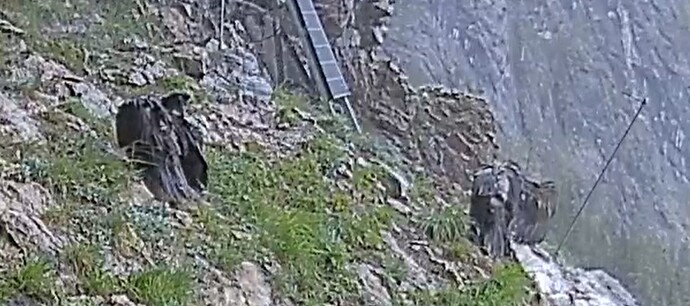 Synchronputz 1 01.06.24