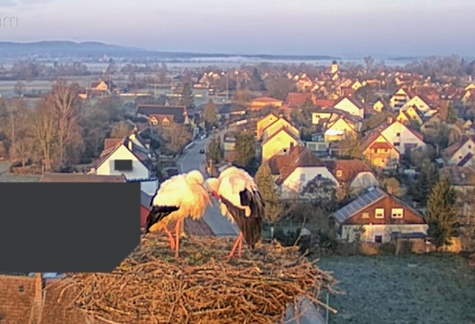 Screenshot_2026-03-20-06-47-30-834_com.android.chrome~2