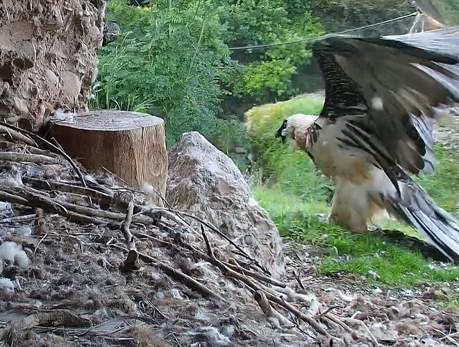 Mascha Morgengymnastik 08.08.25