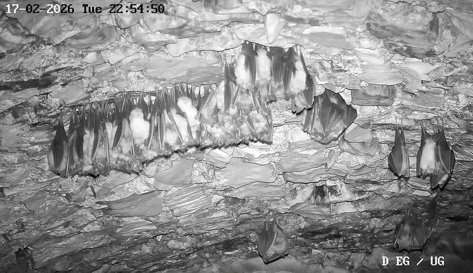 2026-02-17_2 ab 22.00 Kugel und 3er_Gruppe 1