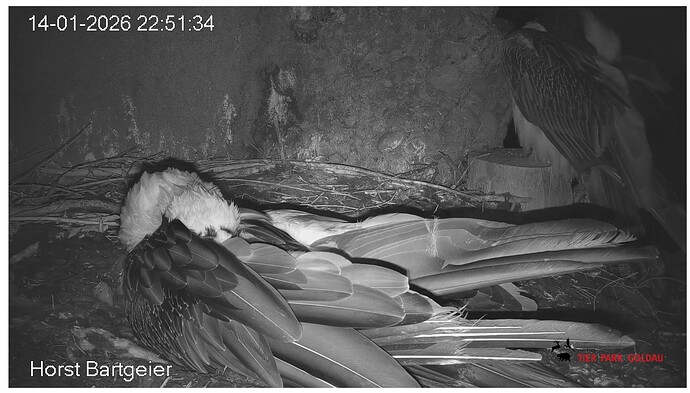 Screenshot_20260114-225238~2