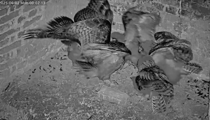 Screenshot_20250602_233801_YouTube