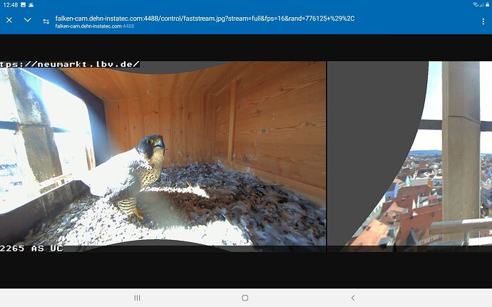 Screenshot_20240315-124818_Chrome