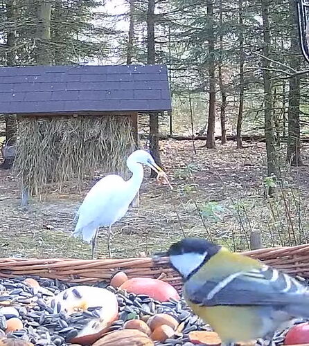 Snap_2023.11.23_14h15m04s_010_