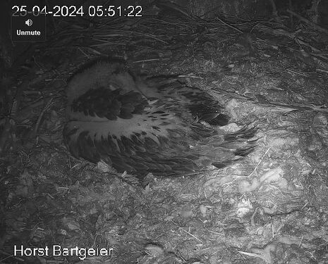 Snap_2024.04.25_05h52m40s_001_