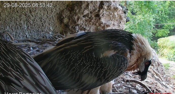Mascha geht nach draußen 29.08.25