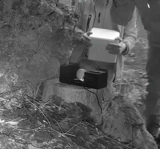 Screenshot_2026-02-05-08-03-53-972_com.android.chrome~2